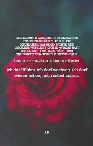 AUS LIEBESKUMMER  WIRD LIEBE ZU DIR